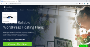 Bluehost Plan and discount